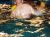 WO: Lauterach | WAS: Poolparty | WANN: 31.07. WO: Lauterach | WAS: Poolparty | WANN: 31.07.