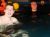 WO: Lauterach | WAS: Poolparty | WANN: 31.07. WO: Lauterach | WAS: Poolparty | WANN: 31.07.