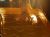 WO: Lauterach | WAS: Poolparty | WANN: 31.07. WO: Lauterach | WAS: Poolparty | WANN: 31.07.