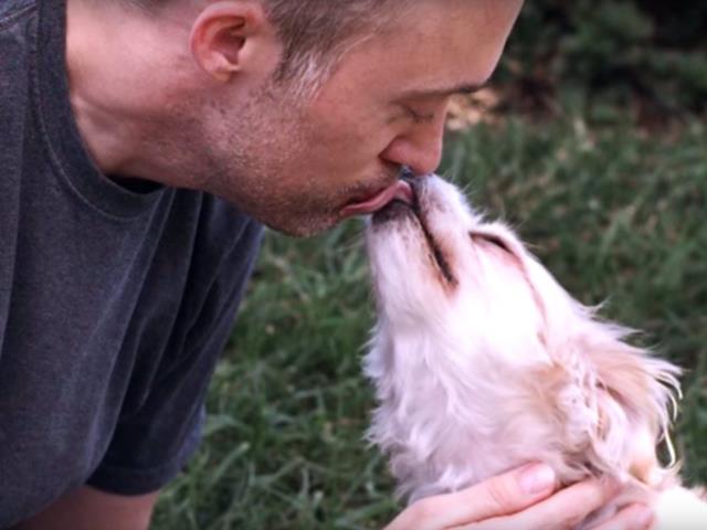 Hunde küssen ihre Menschen in Zeitlupe Video des Tages VOL.AT