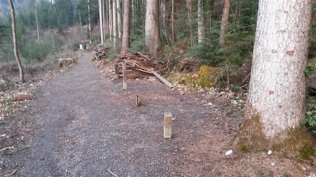 Trainingsparkur am Schafplatz