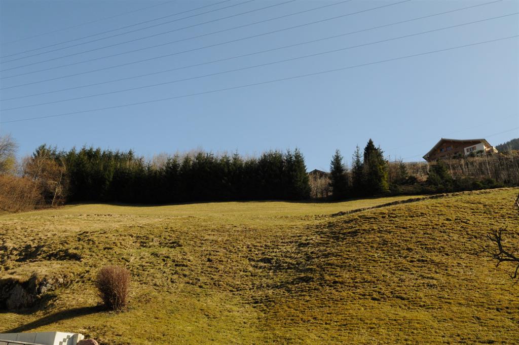 Sonneneinstrahlung, Bepflanzung