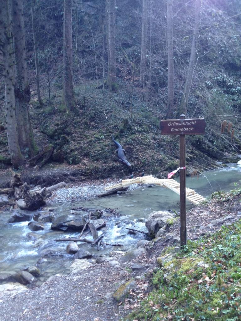 Krokodil in der Örflaschlucht gesichtet !