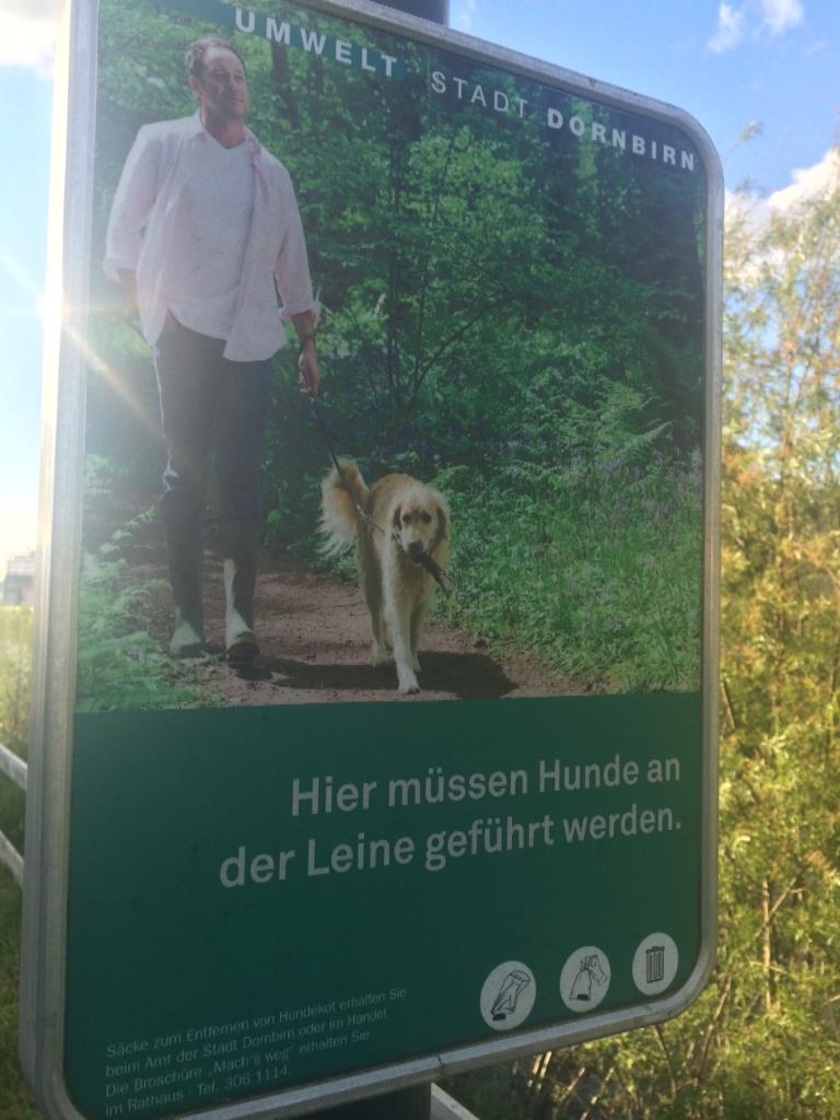 Hunde an die Leine