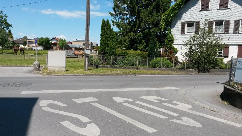 Verkehrsspiegel Pariserstrasse/Lerchenauerstrasse