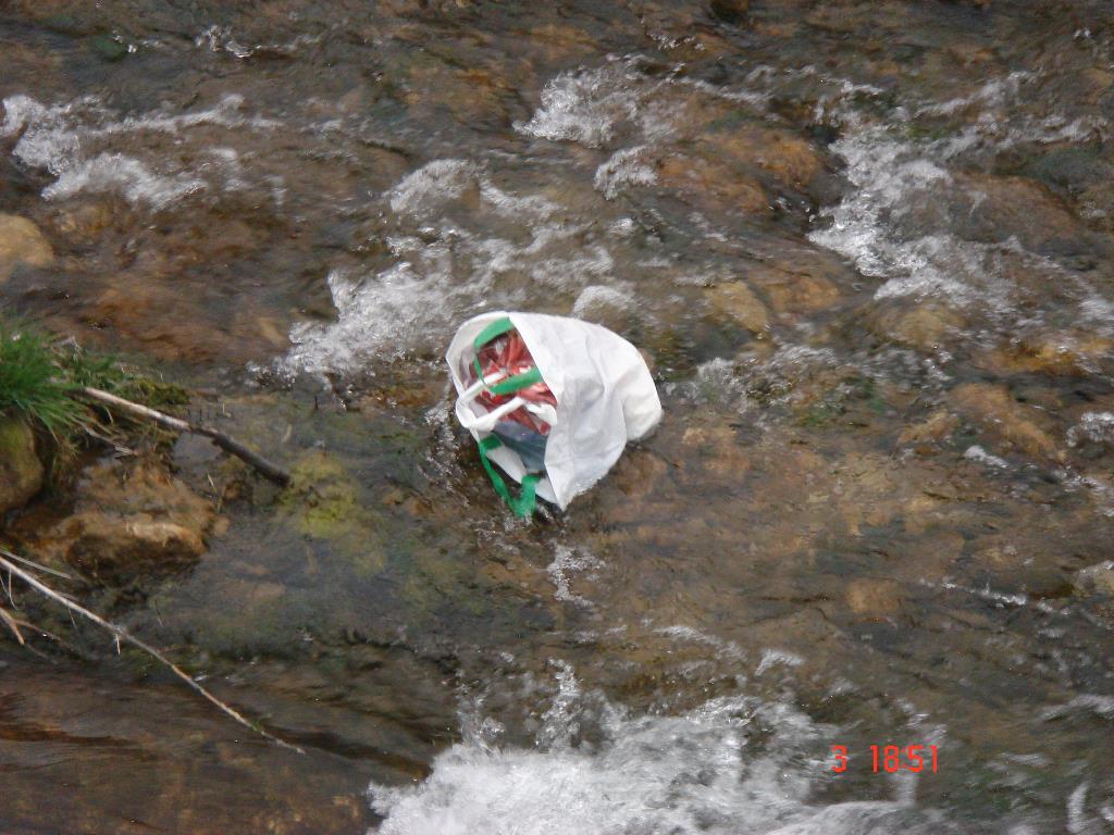 Schwarzbach / Müllkanal