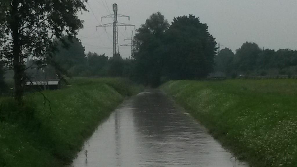 Nicht gepflegter Fußgängerweg entlang des Emmentaler in Altach!