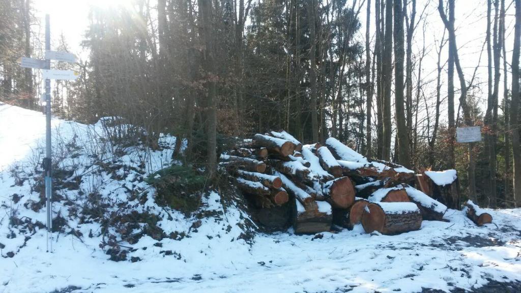 Bodnerweg absichtlich blockiert