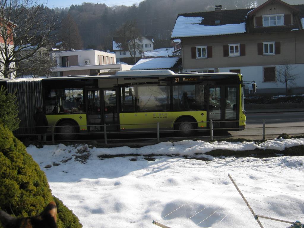 BushaltestellenSternenplatz und Mähdlestr.