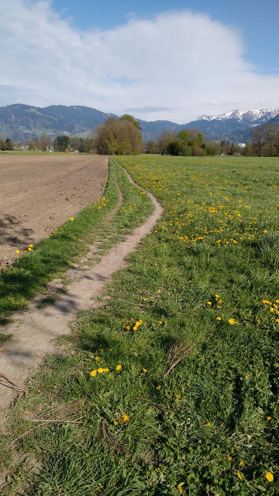 Wanderweg zum “!Birkensee”