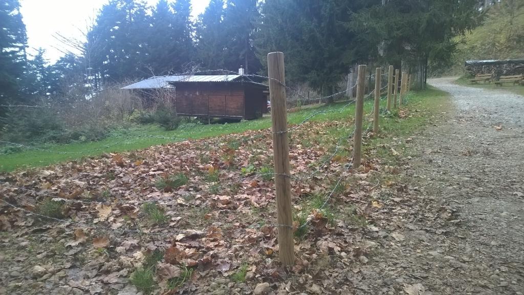 Stacheldraht an der Schipiste/Rodelweg