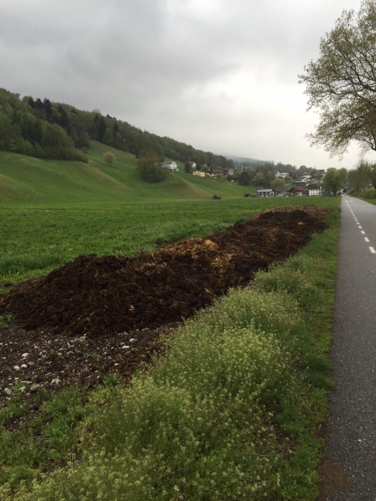 Mist lagern an Gehwegen