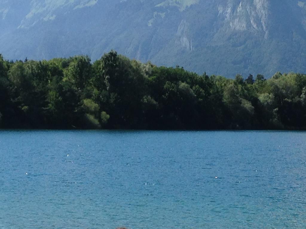 Baggersee Brederis