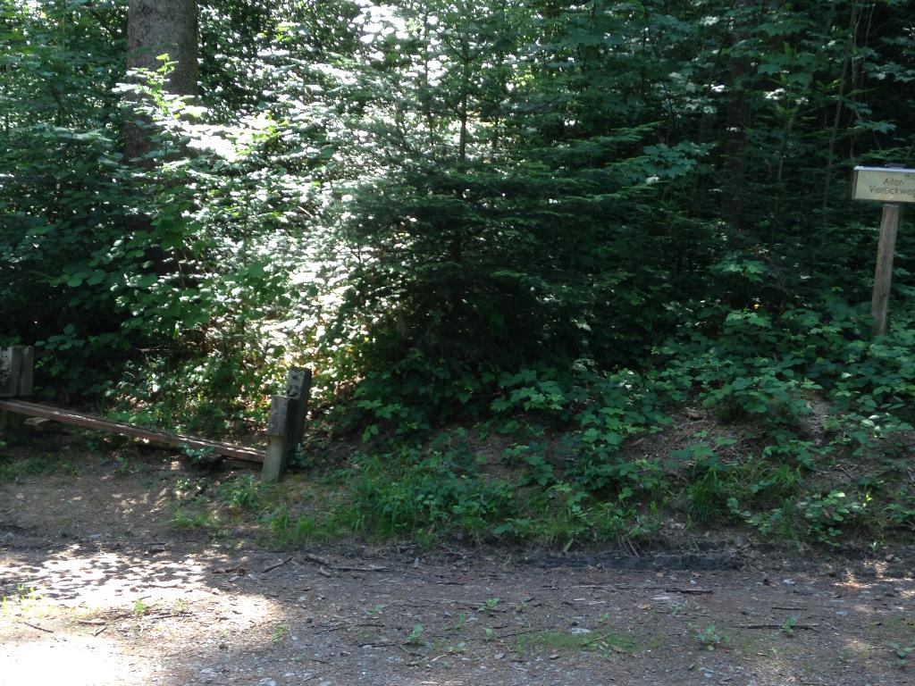 Waldweg Ambergschlössle