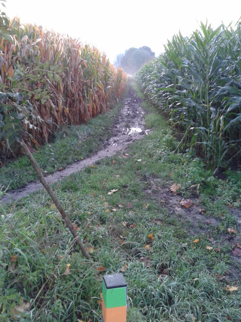 Wander-/jogging-/und Radverbindung