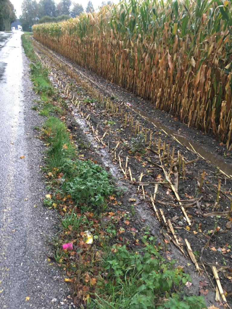 Immer das gleiche…
