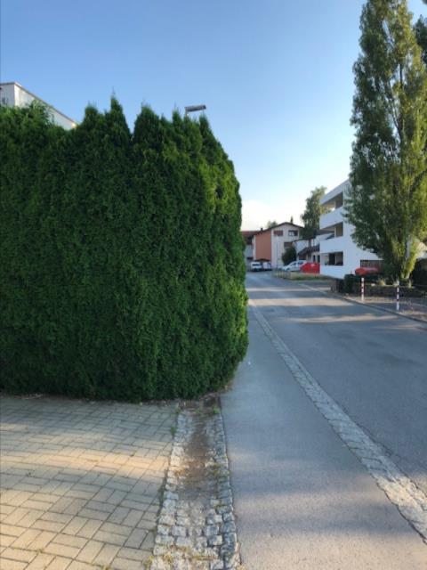zugewachsene Gehsteige