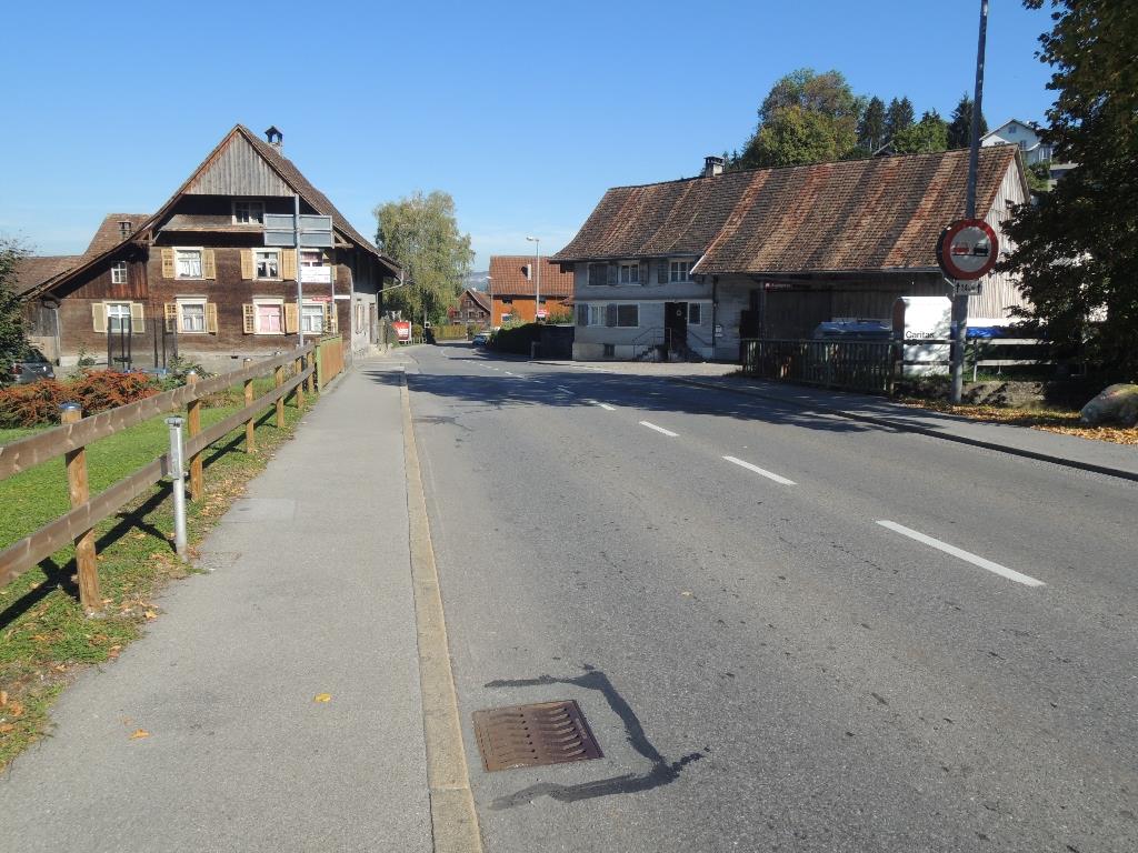 Fahrbahnsanierung / Zebrastreifen