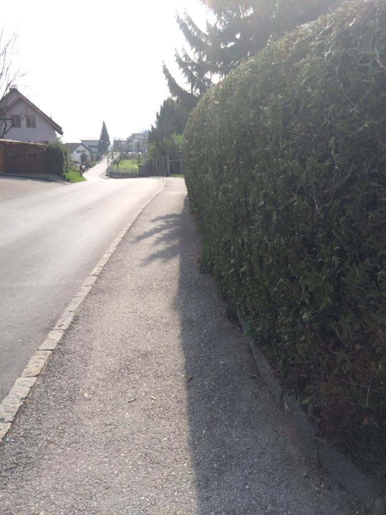 GEFÄHRLICHE KREUZUNG JODOK-FINK-STR — WEIHERMÄDER