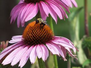 Sohn Top 20 Schone Geburtstagswunsche Bilder Geburtstagswunsche