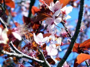 Herzlichen Gluckwunsch Herr Friedrich Main Post