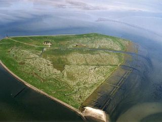 Urlaub auf der Hallig - Reise national -- VOL.AT Urlaub auf der Hallig - Reise national -- VOL.AT