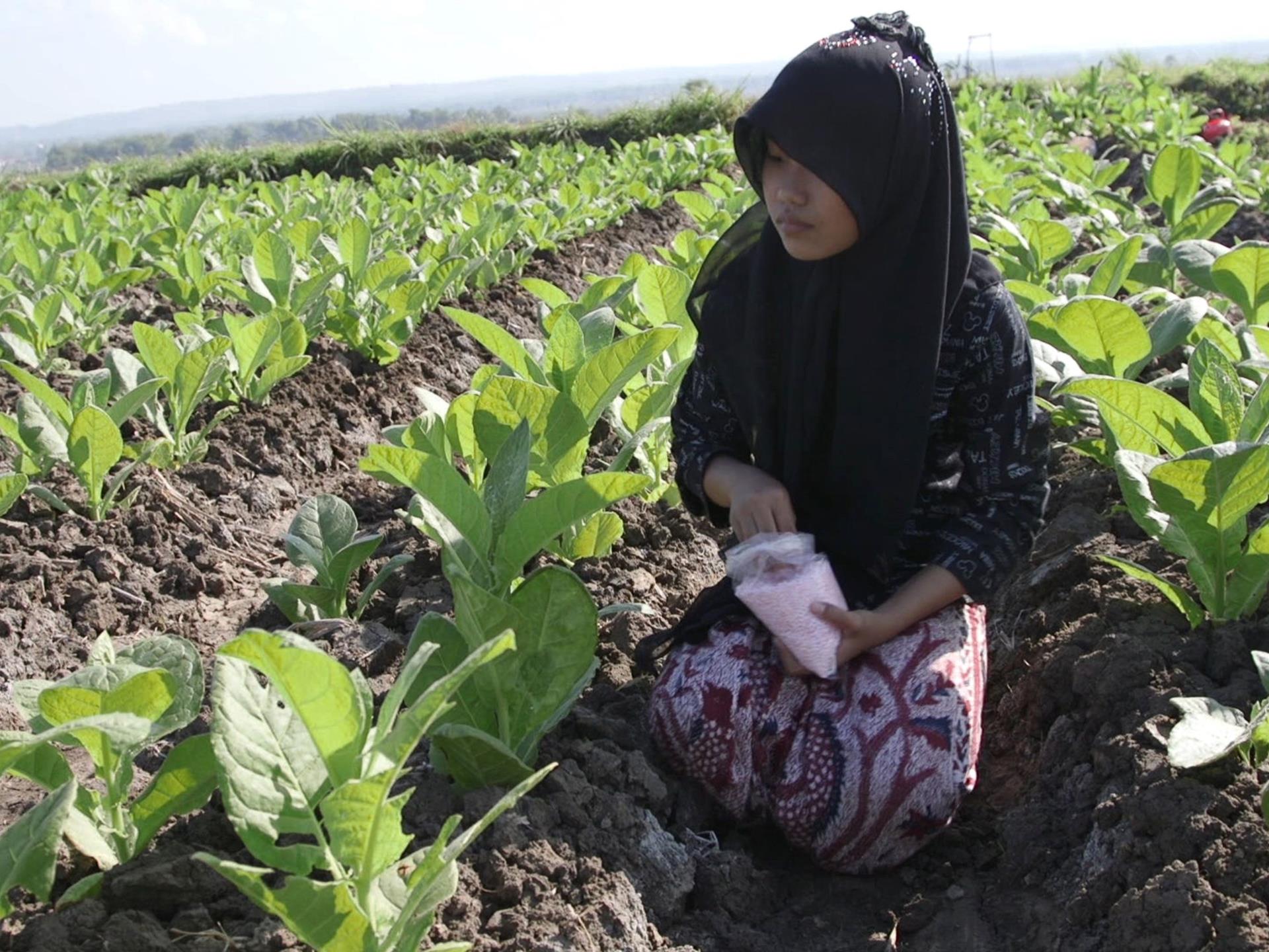 Drastische neue Strafen f r Kindesmissbrauch in Indonesien Drastische neue Strafen f r Kindesmissbrauch in Indonesien