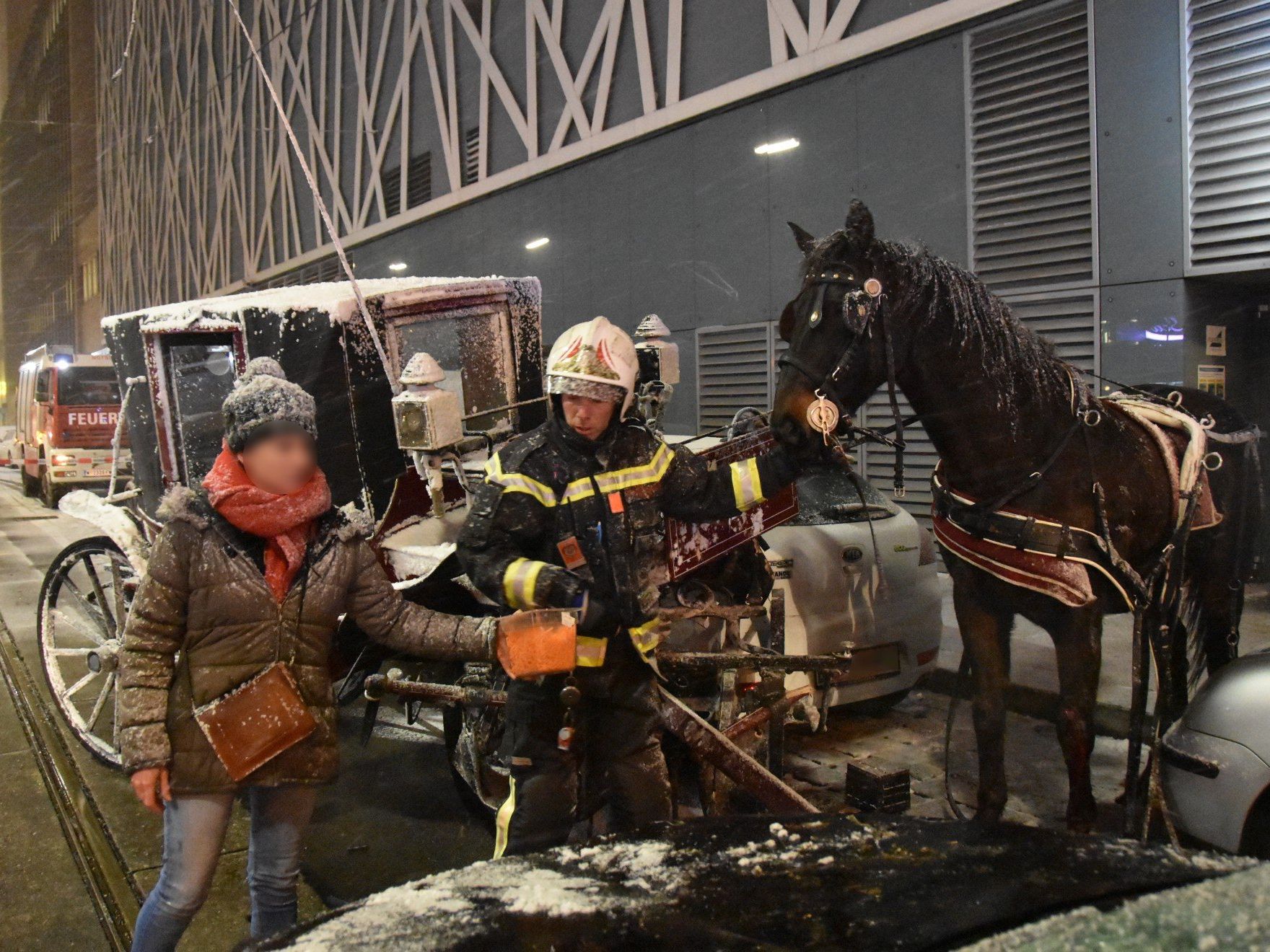 Kutscher Und Fiaker Pferd Bei Unfall In Wien Landstrasse