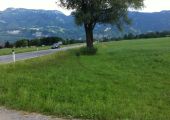 Gefährliche Situation für Reiter, Radfahrer und Autos