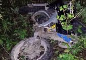 Kaputtes Moped im Gebüsch
