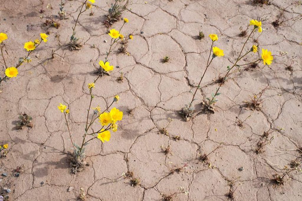 Das Death Valley © APA