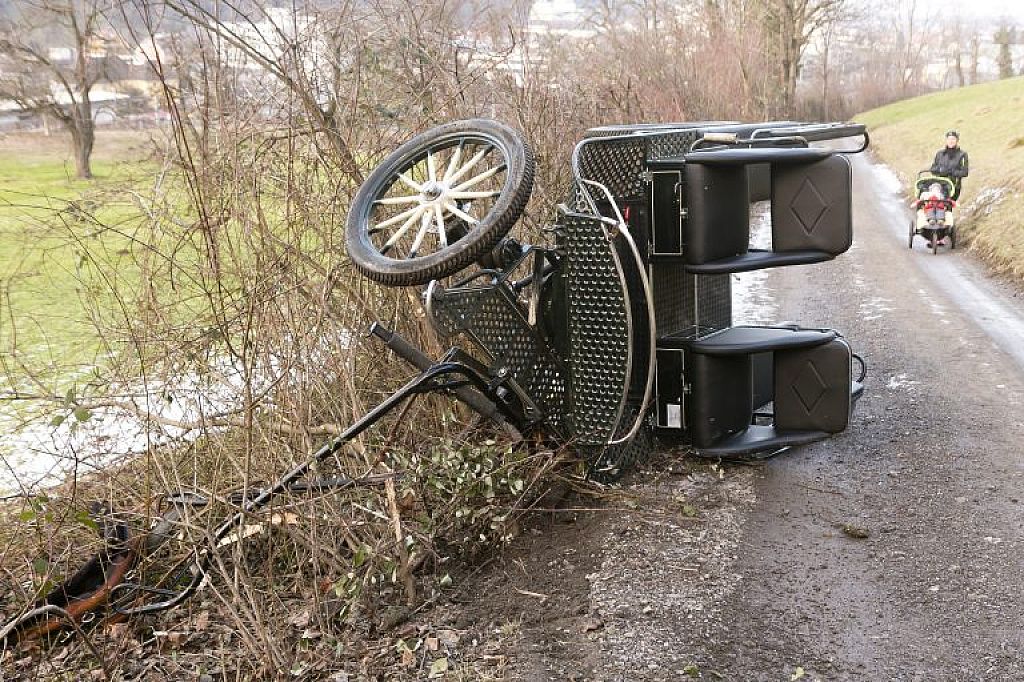 Die Pferdekutsche kippte talwärts in einer Kurve.  © D. Mathis