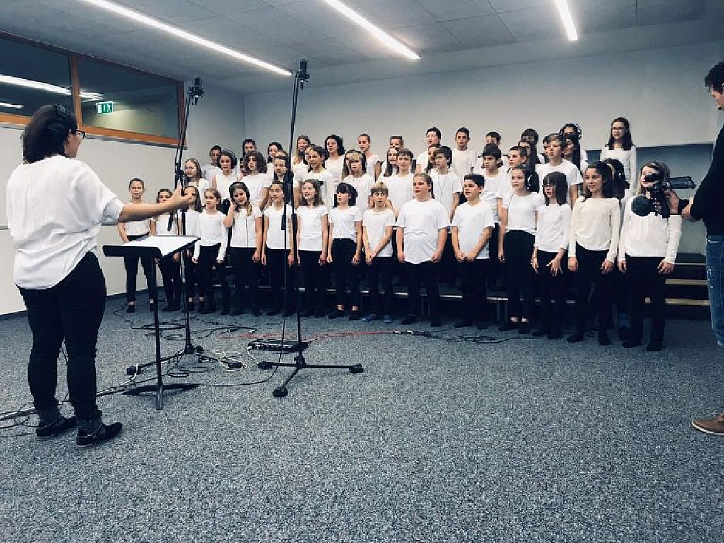 u003cpu003eSilent Cry, Still, Falcou003c/pu003en © Jürgen Hummer