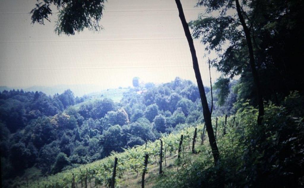 Martin Netzer/Bundesheer
 © Martin Netzer/Bundesheer