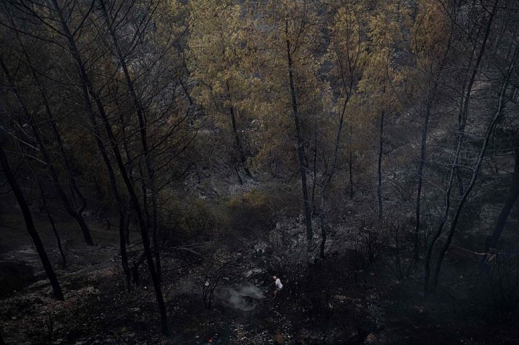 Waldbrände in der Türkei © APA