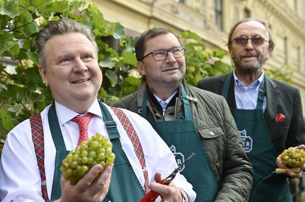 © APA/HERBERT NEUBAUER