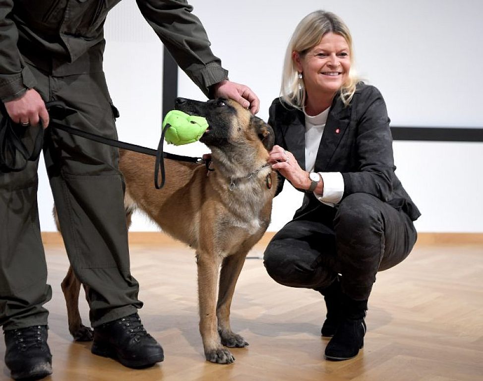 Corona-Spürhund "Fantasy" im Rahmen einer PK des Verteidigungsministeriums © APA