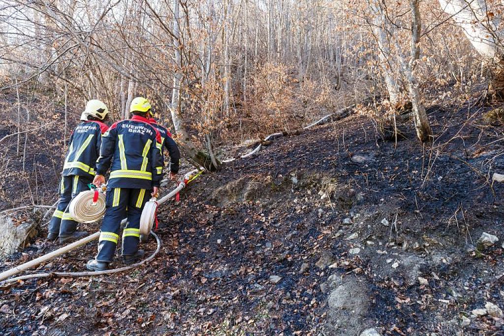 u003cpu003e20220309AusserbrazWaldbrandu003c/pu003en © VOL.AT