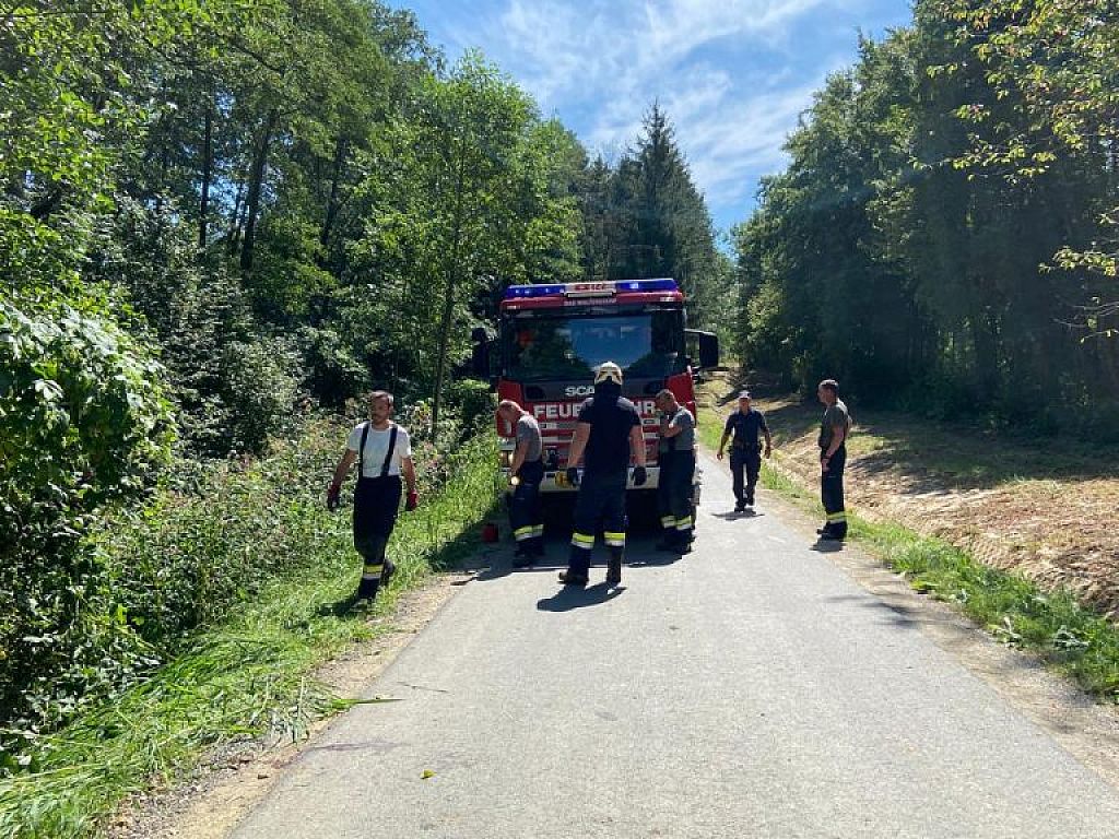 © APA/FF SEBERSDORF