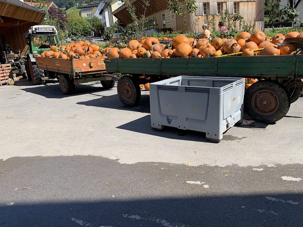 © VOL.AT/Dünser