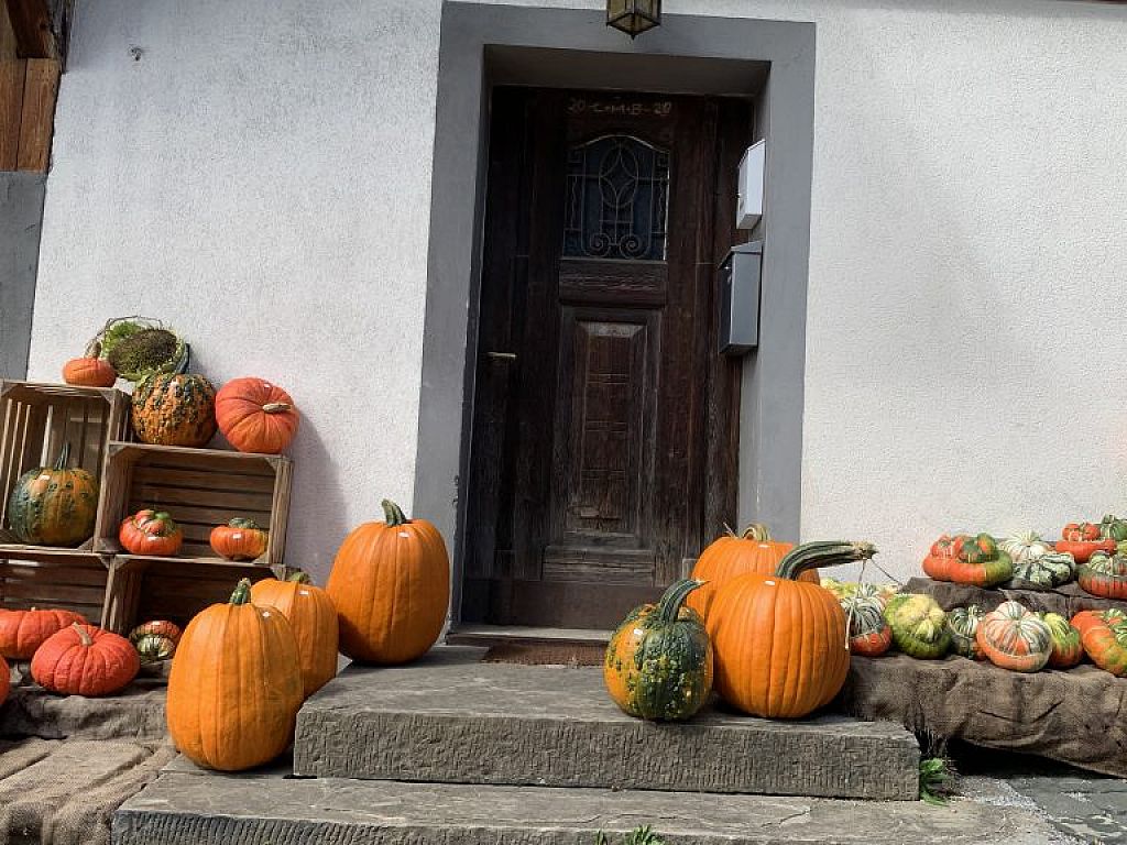 © VOL.AT/Dünser