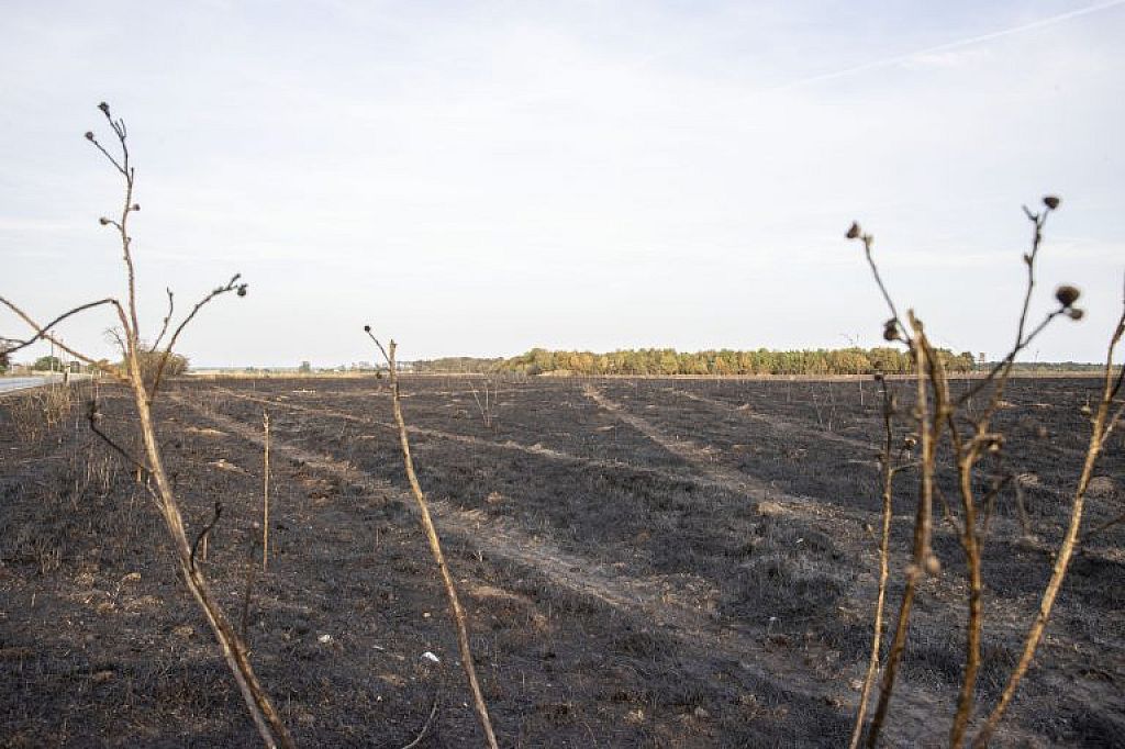 © APA/PRESSETEAM BFKDO KORNEUBURG