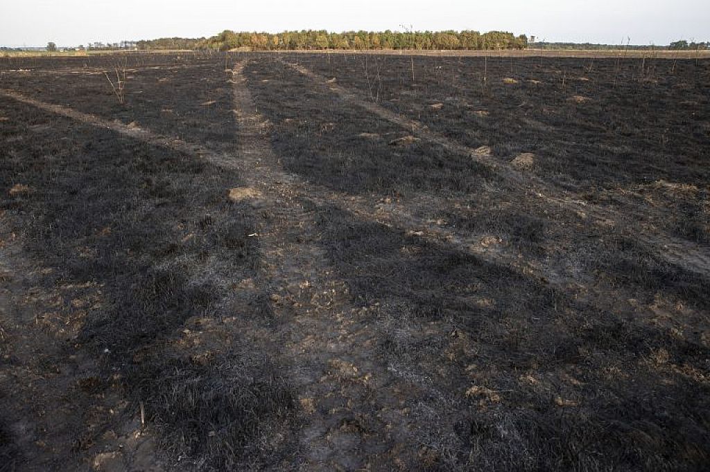 © APA/PRESSETEAM BFKDO KORNEUBURG