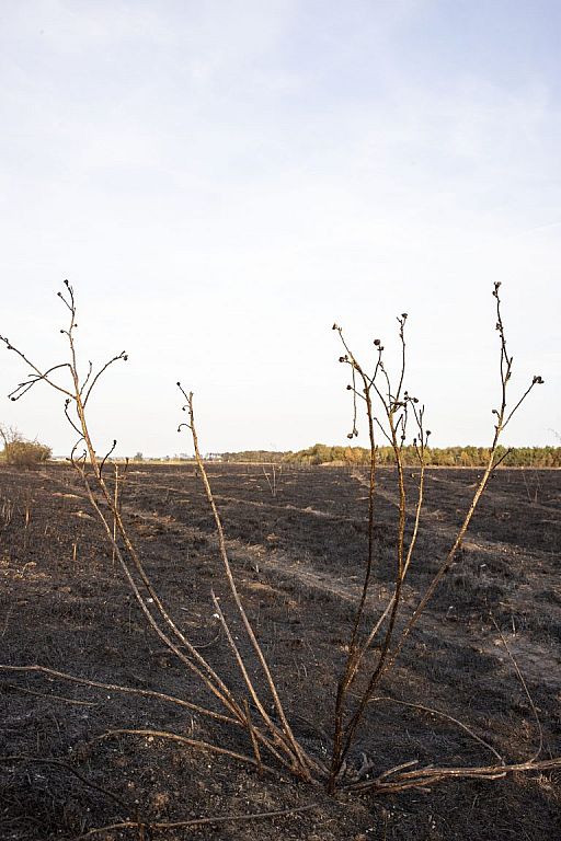 © APA/PRESSETEAM BFKDO KORNEUBURG