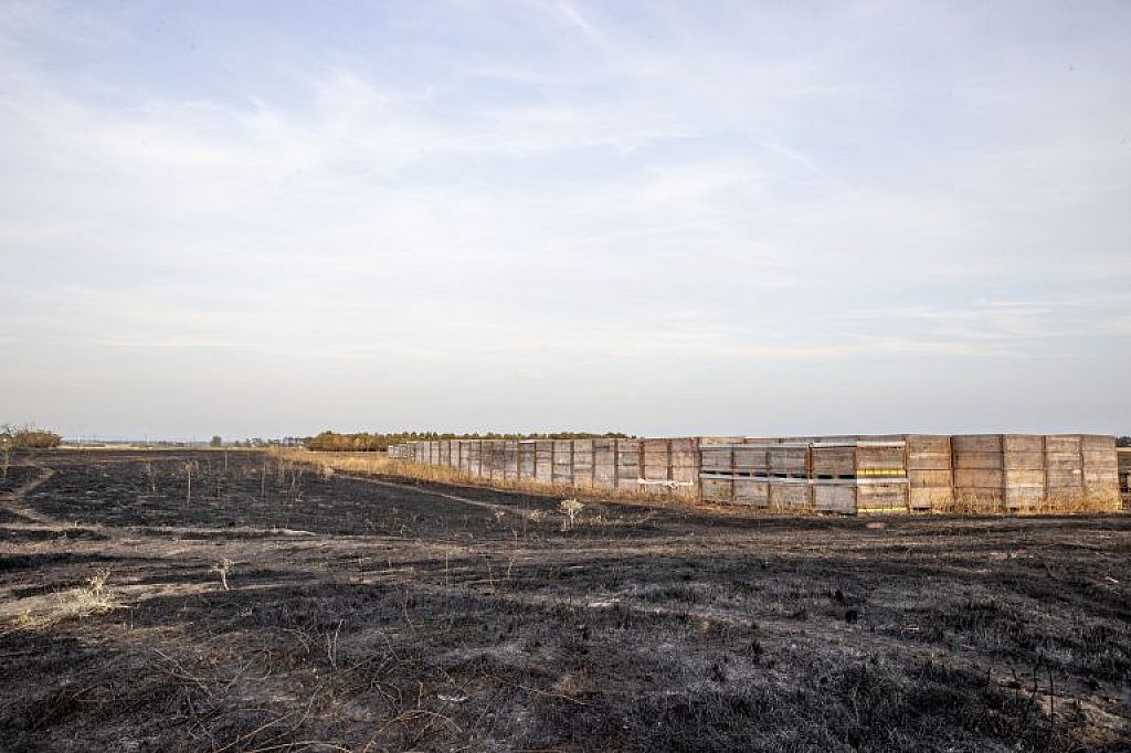 © APA/PRESSETEAM BFKDO KORNEUBURG