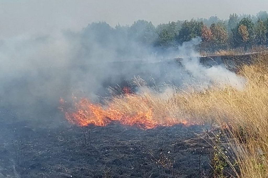 © APA/PRESSETEAM BFKDO KORNEUBURG