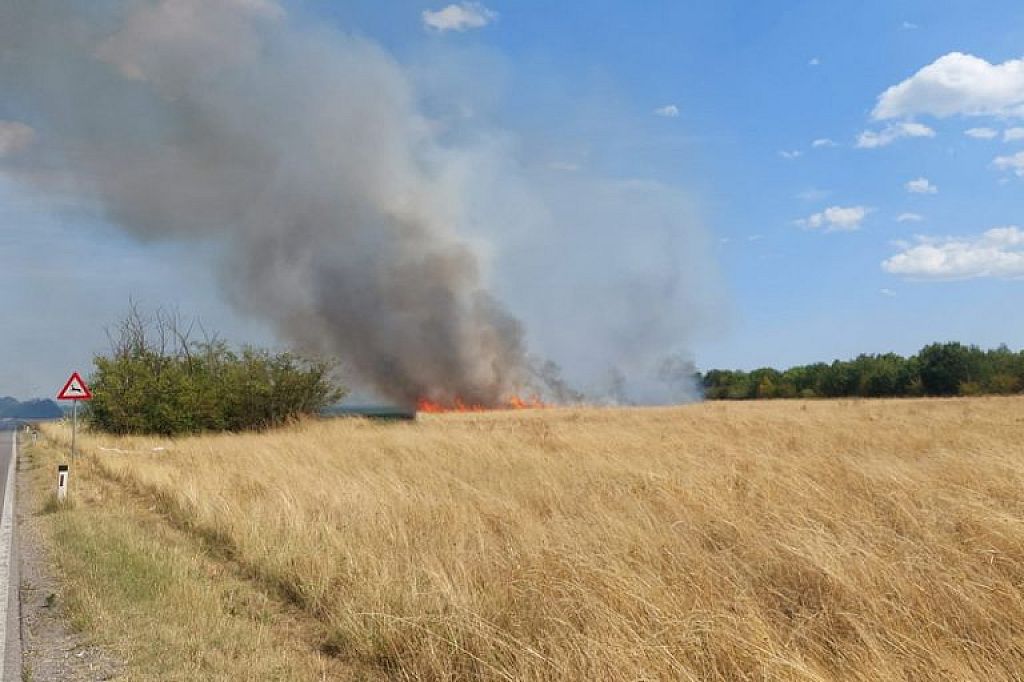 © APA/PRESSETEAM BFKDO KORNEUBURG
