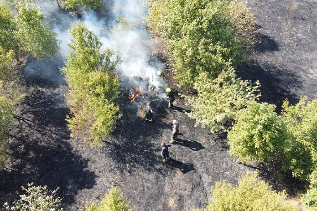 © APA/PRESSETEAM BFKDO KORNEUBURG