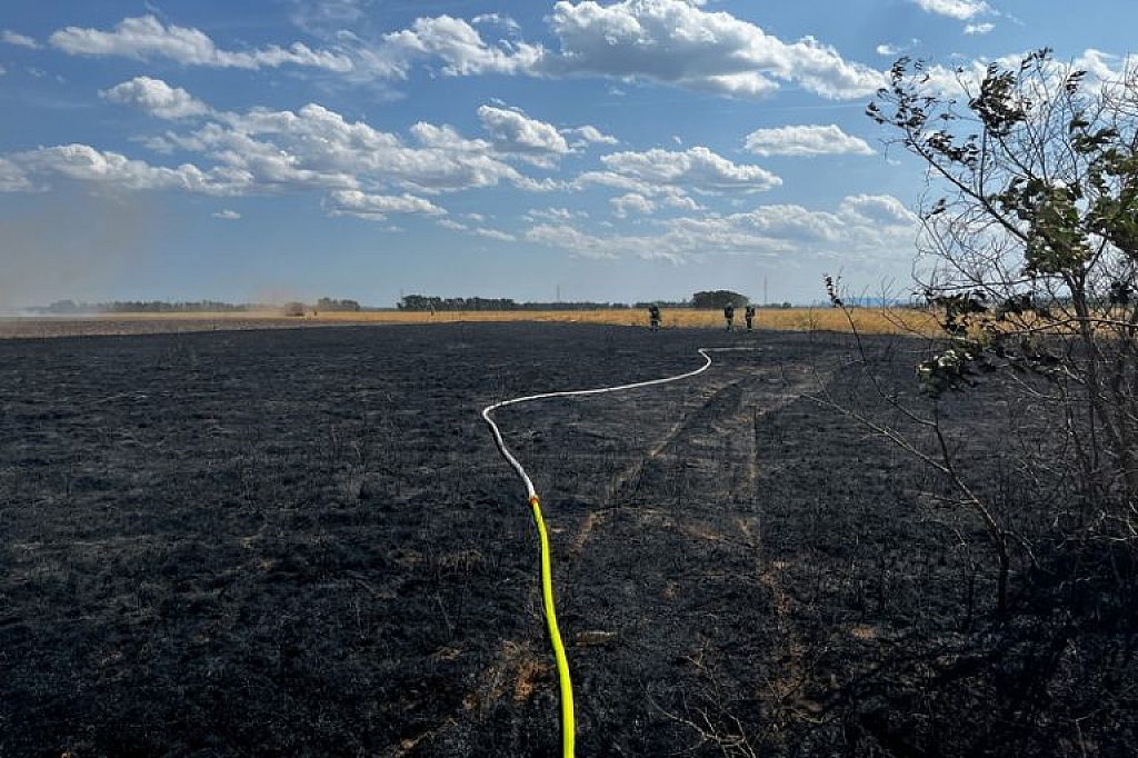 © APA/PRESSETEAM BFKDO KORNEUBURG