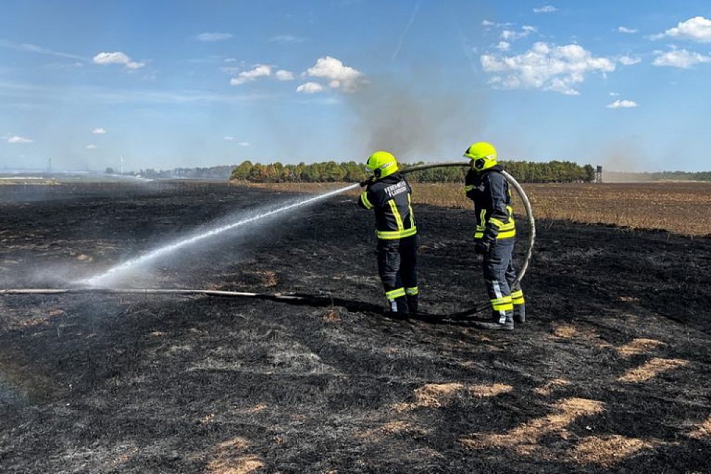 © APA/PRESSETEAM BFKDO KORNEUBURG